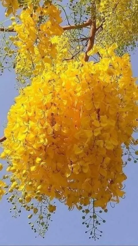 صور خلفيات فخمة صورخلفيات جميلة حلوة للهاتف و للكمبيوتر واللاب توب خلفيات روعة