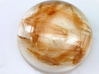 Paperweight containing bird feathers