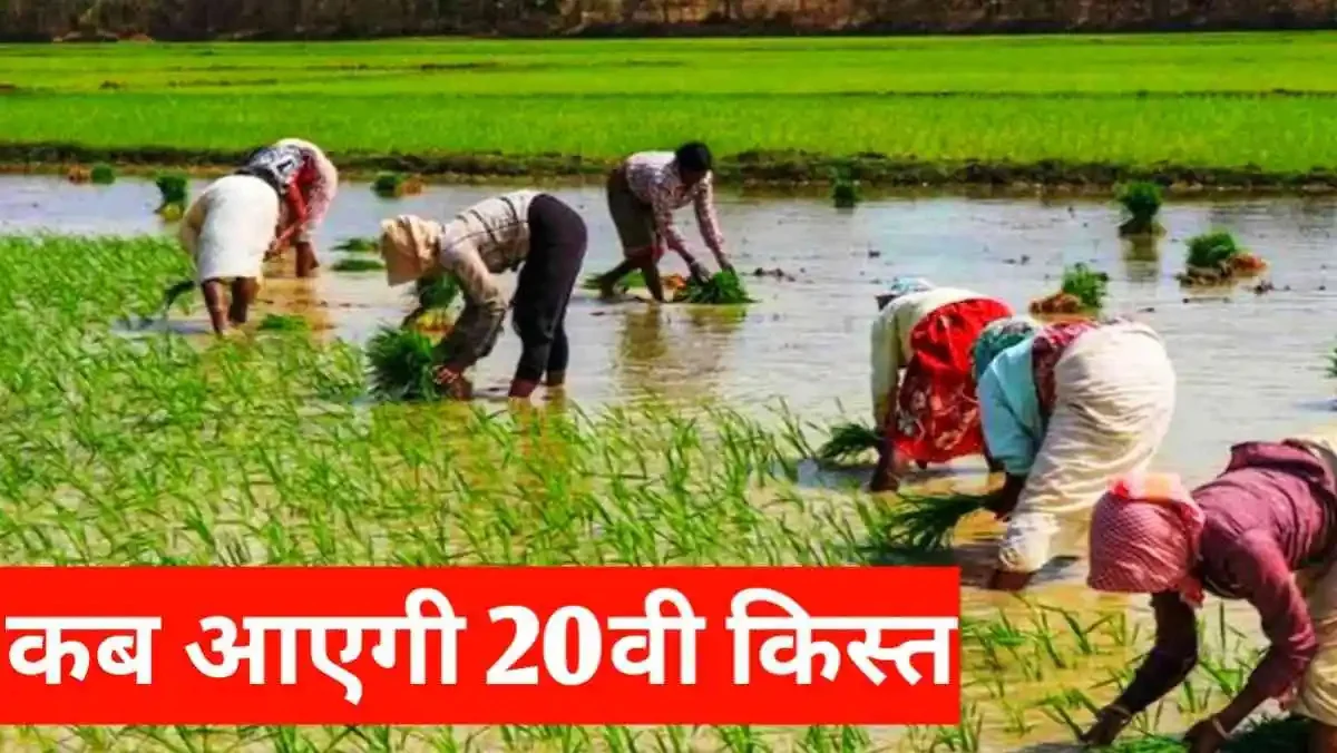 20 वि किस्त कब ayegi