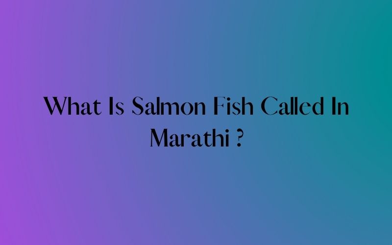 what is salmon fish called in marathi - https://answersly.blogspot.com/