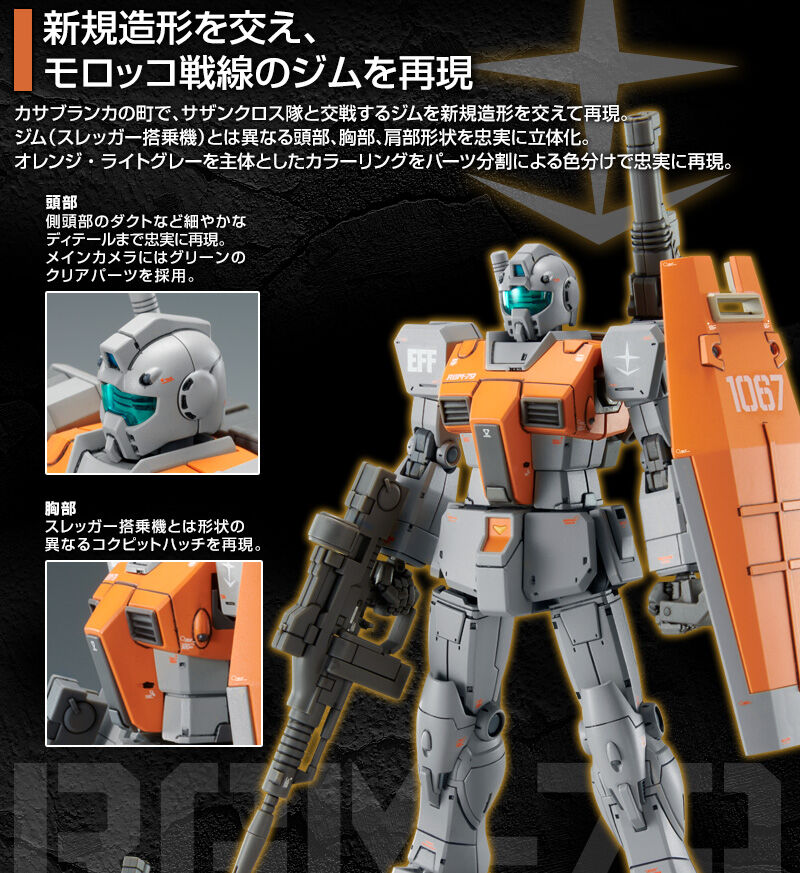 P-BANDAI: RGM-79 GM [MOROCCAN FRONT] - 14