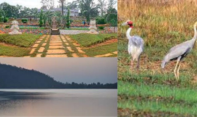 Best places to visit in the Gondia district