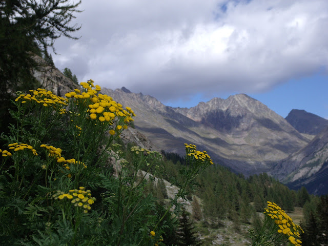 Jardín alpino Paradisia