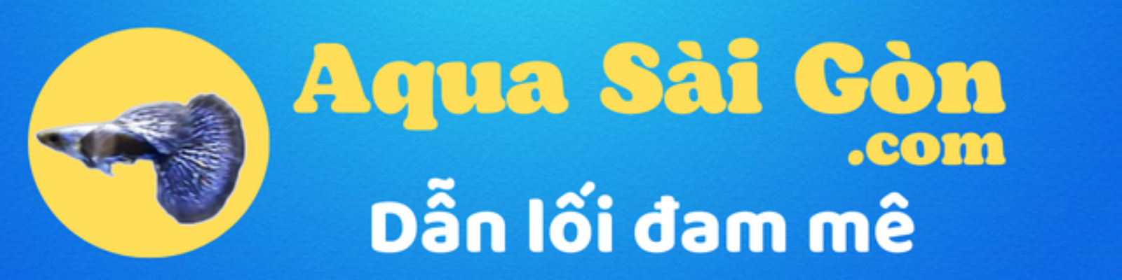 Thủy Sinh Aqua Sài Gòn | Dẫn lối đam mê 