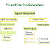 Classification of Organic Compounds-Structures and Applications