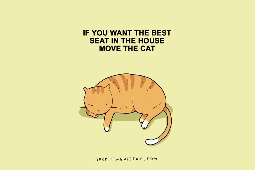 15 Illustrated Truths About Cats-2
