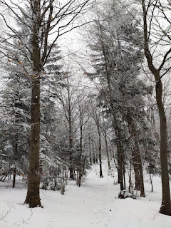 Beskid Niski