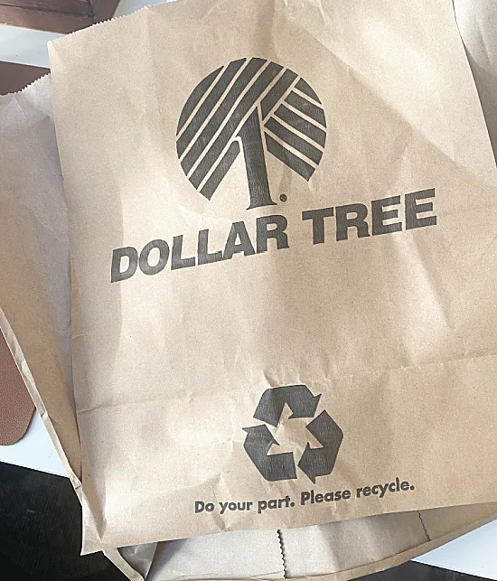 dollar tree paper bag