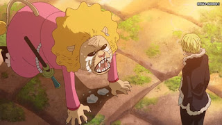 ワンピースアニメ ゾウ編 762話 ペコムズ Pekoms | ONE PIECE Episode 762