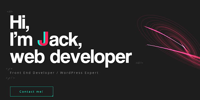 Web Developer Portfolios