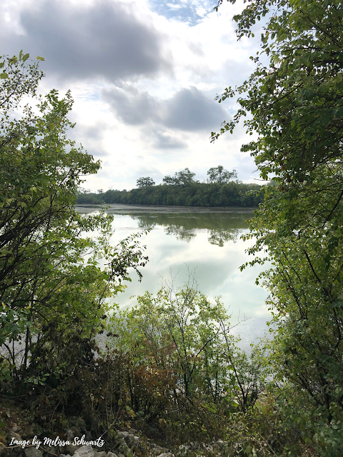 Peeking at Turtle Lake.