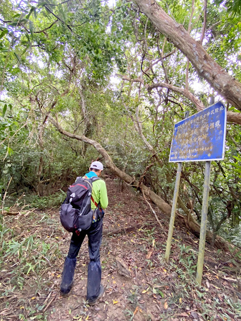 往高士佛山、千年茄苳神木--告示牌