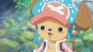 ワンピースアニメ ゾウ編 775話 チョッパー かわいい Tony Tony Chopper | ONE PIECE Episode 775