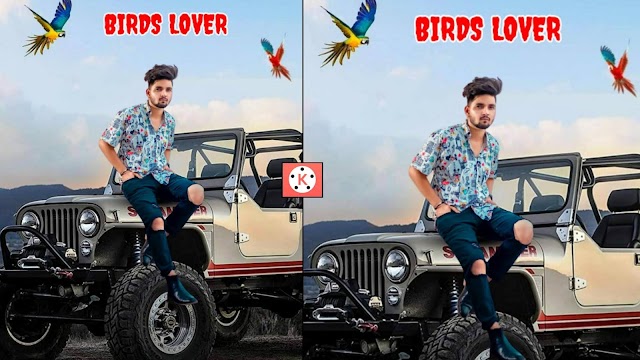 Birds Lover Photo Editing Tutorial | Kinemaster Photo Editing | Kinemaster Birds Photo Editing