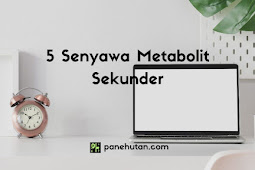 5 Senyawa Metabolit Sekunder