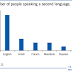 Language and Linguistic Homogeneity: The Impact of Global Influences