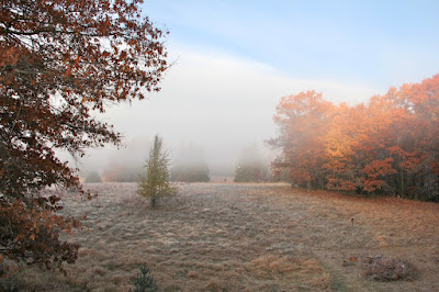 misty October morning
