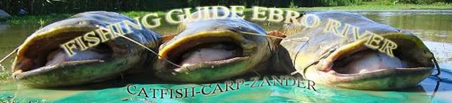 CATFISH FISHING GUIDE IN THE RIVER EBRO, CATFISHING AND CARPFISHING (MEQUINENZA-ESPAÑA)