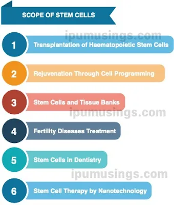 Scope of Stem Cells #biochemistry #ipumusings #stemcells #biotechnology #biology