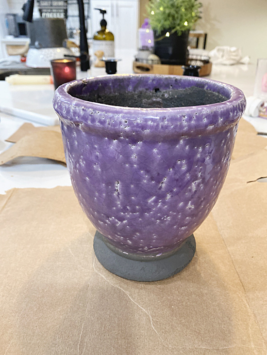 purple planter