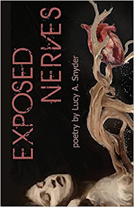 Exposed Nerves by Lucy A. Snyder