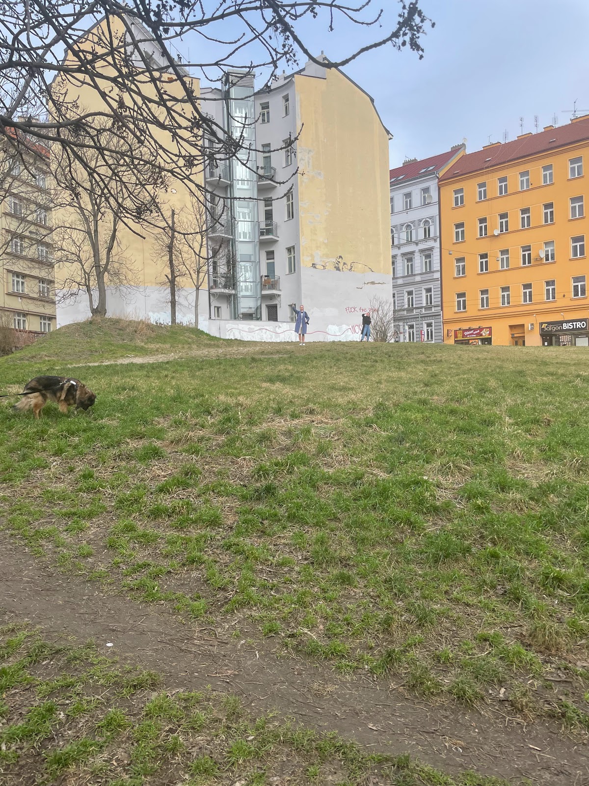 Obrázek