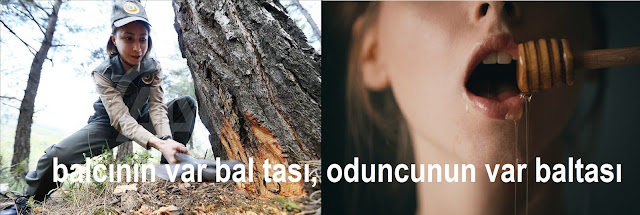 balcının var bal tası, oduncunun var baltası