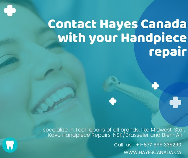 Why you should Choose Hayes Canada