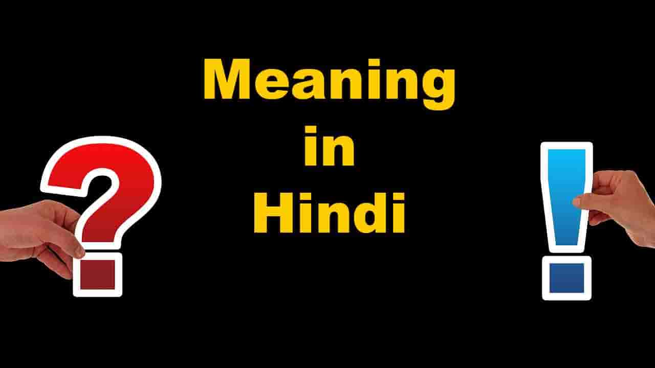 meaning in hindi