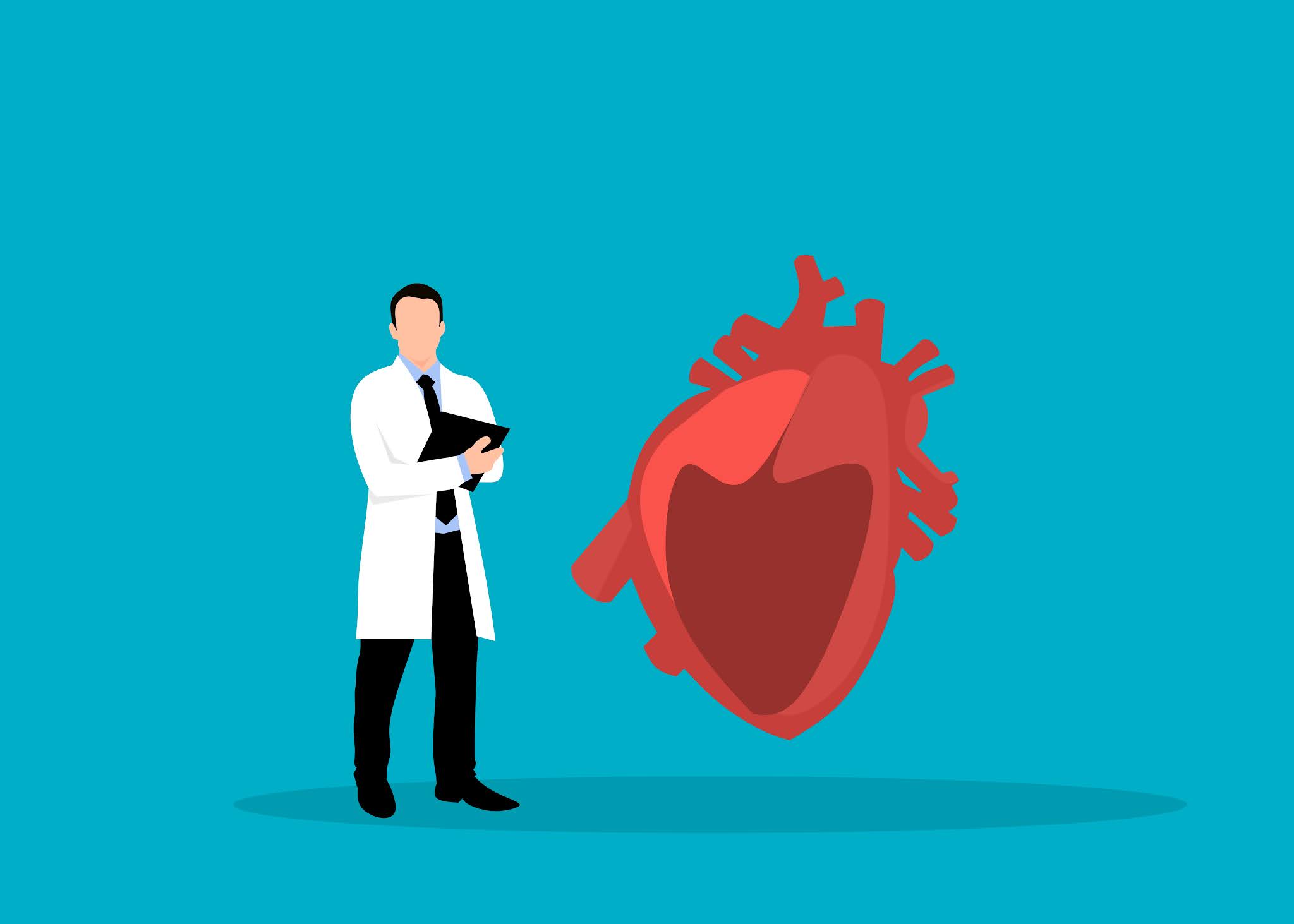 Human heart checkup graphic design