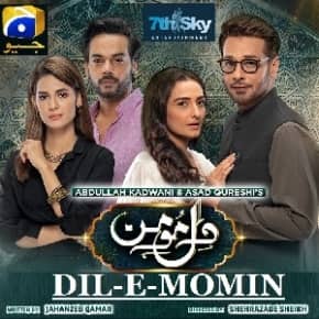 Dil-E-Momin Last Episode