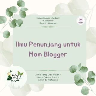 mom blogger