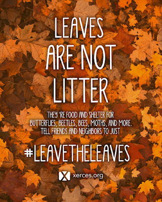 Leaves are not litter