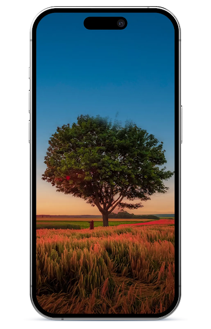 wide angle shot single tree growing clouded sky during sunset surrounded by grass