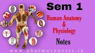 Human Anatomy And Physiology I Best B pharmacy Sem 1 free notes | download pharmacy notes pdf semester wise