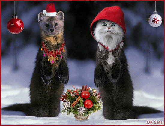 Art Cat GIF with caption • White fluffy kitty and his bes furriend wish you a 'MERRY XMAS'