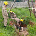 Bombeiros regastam animal que caiu em fossa no município de Feijó