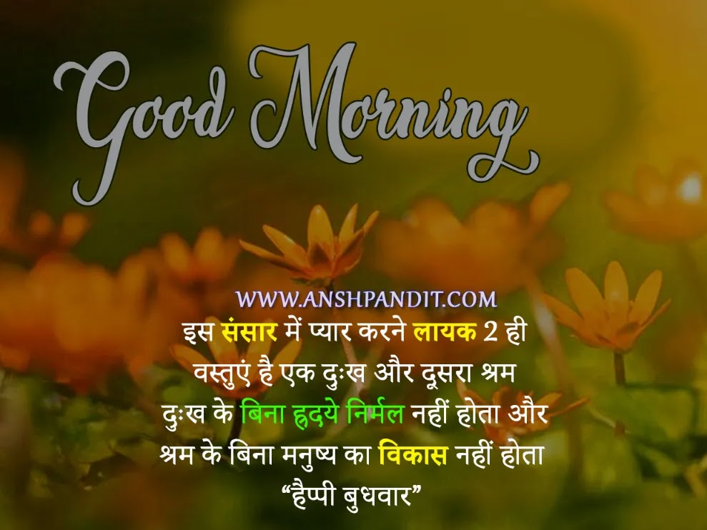 Good Morning Wednesday Quotes in Hindi