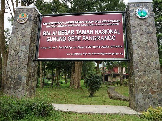 Taman Nasional Gunung Gede Pangrango : Sejarah, Lokasi, Vegetasi, Keragaman Hayati