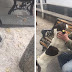 Emotional moment owner finds his lost dog in the street after three
years