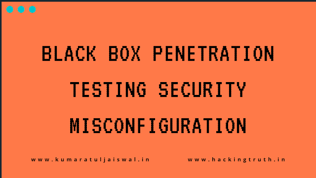 Black box pentesting