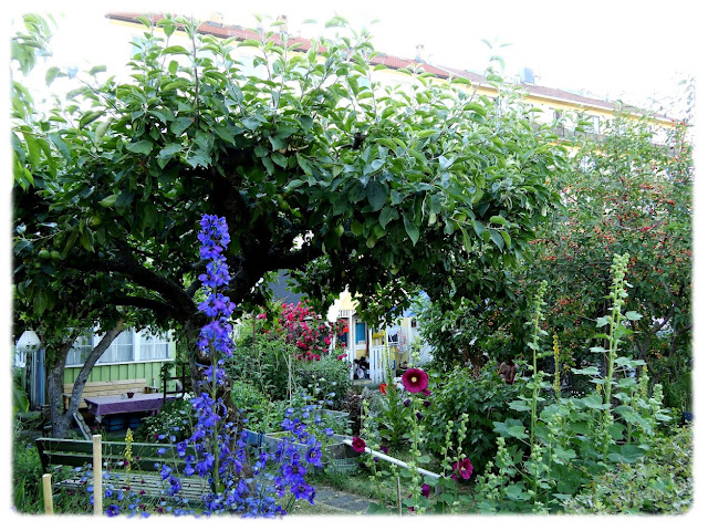 Sommerparadiset  Etterstad kolonihager i Etterstadgata 18C øverst på Vålerenga i Oslo.