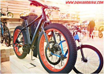 sepeda full-bike