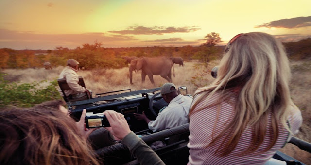 kruger national park