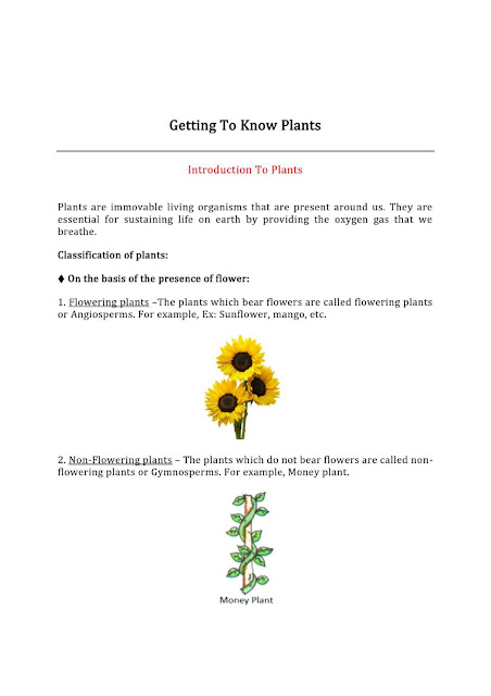 NCERT Class 6 Science Chapter 4 Getting to Know Plants Notes PDF Download