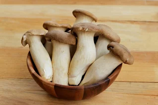 Mushroom Spawn Supplier in Satara