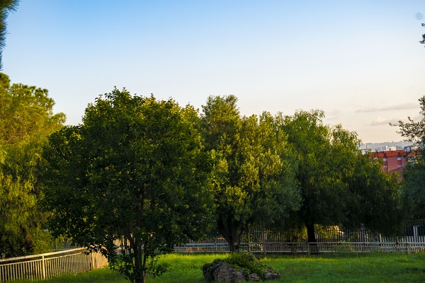 fotografía de naturaleza y paisaje