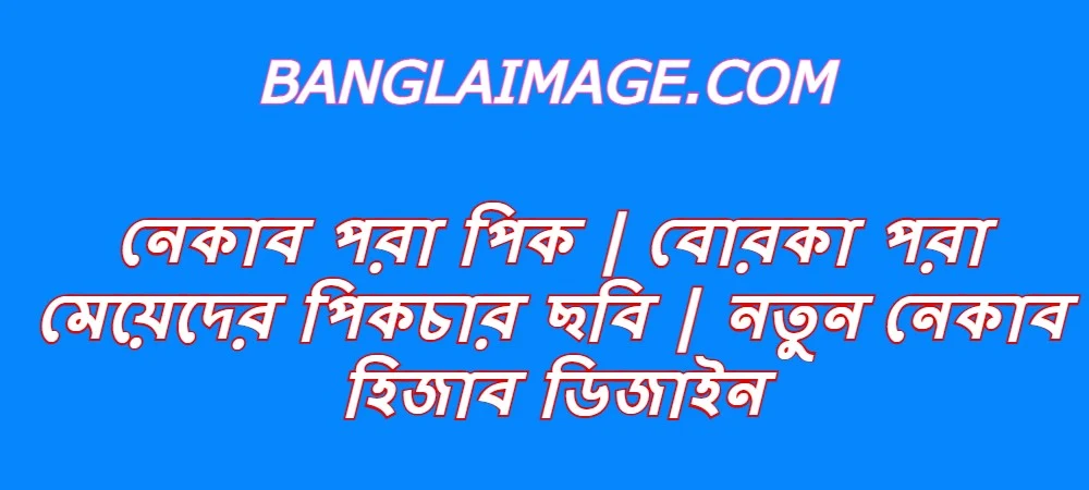 নেকাব পরা পিক | বোরকা পরা মেয়েদের পিকচার ছবি | নতুন নেকাব হিজাব ডিজাইন