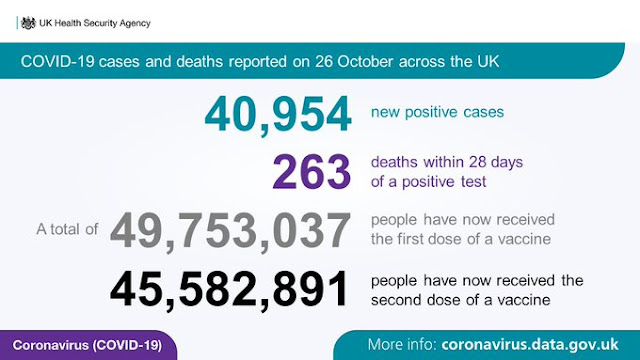 261021 daily stats UK HSA