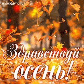"Ах, осень, моё упоенье, моя золотая печаль..." (В. Набоков): Цитаты об ОСЕНИ